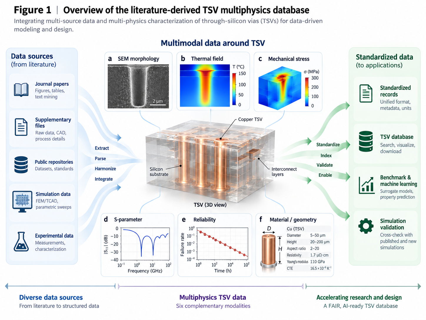 Overview of the literature-derived TSV multiphysics database, from source evidence to standardized data and applications